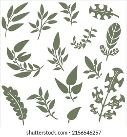 Vector set of summer, autumn, spring green plants. A collection of elements consisting of icons of different branches for design