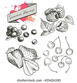 Vector set of summer harvest berries. Hand drawn vintage engraved art. Cherry, blueberry, strawberry, raspberry. Isolated on white background. 