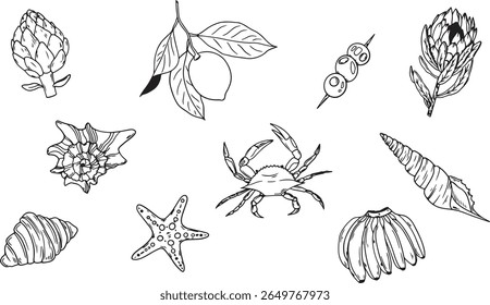 Vector set of summer-themed linear illustrations including artichoke, seashells, crab, croissant, lemon, bananas, olives, and protea flower. Perfect for use in branding, packaging, social media design
