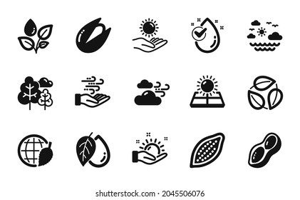 Vector set of Sun protection, Mineral oil and Environment day icons simple set. Leaves, Plants watering and Peanut icons. Wind energy, Tree and Travel sea signs. Vector