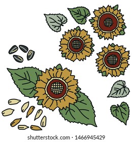 Vector set of sunflowers with leaves and seeds in van Gogh pallette. Simple doodle sunflower illustration hand drawn. Great for graphic elements, social media, packaging, autumn rustical invitations.