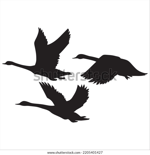 Vector Set Swan Silhouettes Illustration Isolated Stock Vector (Royalty ...