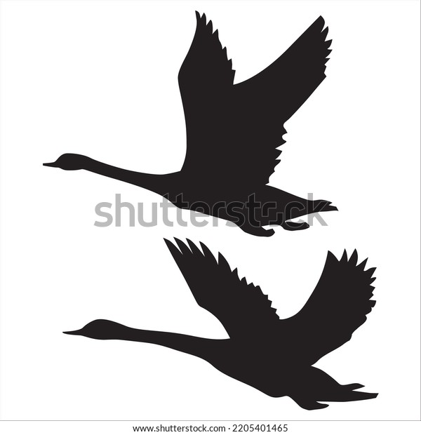 Vector Set Swan Silhouettes Illustration Isolated Stock Vector (Royalty ...