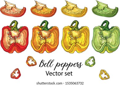 Vector set with sweet bell pepper.