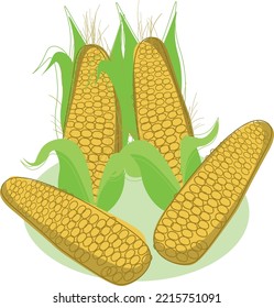 Vector set of sweet golden corn cartoon flat style. Bunch of Corn. summer farm design elements