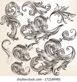 Vector set of swirl elements for design. Calligraphic vector