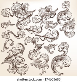 Vector set of swirl elements for design. Calligraphic vector