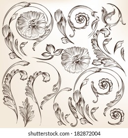 Vector set of swirl elements for design. Calligraphic vector