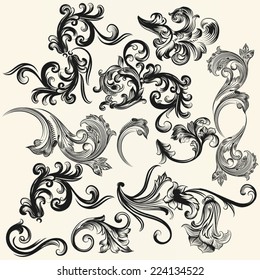 Vector set of swirl elements for design. Calligraphic vector