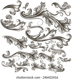 Vector set of swirl elements for design. Calligraphic vector