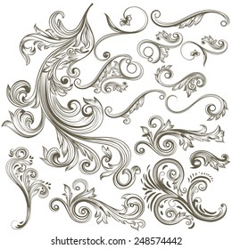 Vector set of swirl elements for design. Calligraphic vector