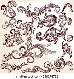 Vector set of swirl elements for design. Calligraphic vector