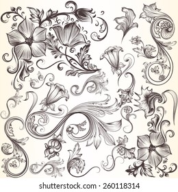 Vector set of swirl elements for design. Calligraphic vector