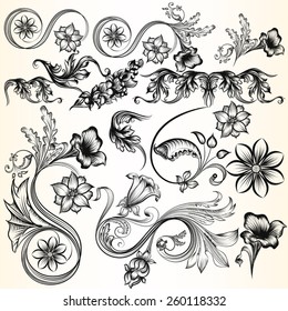 Vector set of swirl elements for design. Calligraphic vector