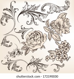 Vector set of swirl and floral elements for design. Calligraphic vector