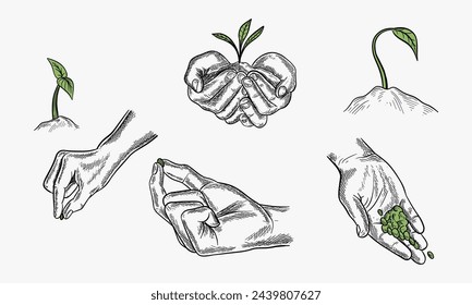Vektor-Satz von Symbolen der Landwirtschaft. Illustration der Hände mit Samen und Sprossen. Wachstum von Pflanzen in frühen Stadien