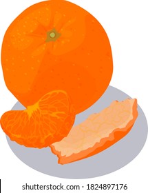 Vector set with tangerines. Peeled mandarin slices. Mandarin, clementine. Citrus fruit.