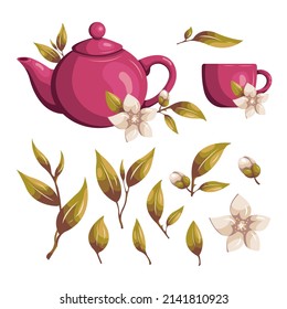Vector set of tea illustrations. Teapot, cup and branches.