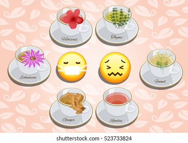 Vector Set of Tea for immune support and stomach comfort anti bloating