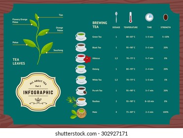 Vector Set of Tea Infographics. Classification Plants Leaf, Brewing Tea Rules and Scheme Illustration. Flat Information Concept.