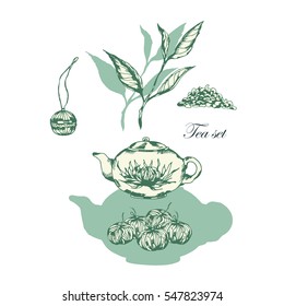 Vector set of tea leaves. Set of vintage vector hand drawn tea icons, tea ceremony. Hand drawn tea collection. Vector illustration.