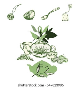 Vector set of tea leaves. Set of vintage vector hand drawn tea icons,tea ceremony.Hand drawn tea collection. Vector illustration.