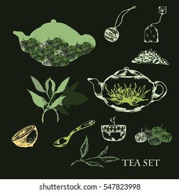 Vector set of tea leaves. Set of vintage vector hand drawn tea icons, tea ceremony. Hand drawn tea collection. Vector illustration.