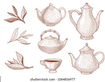 Vector set of teapots and kettle and tea tree leaf. Ink hand drawn vector illustration with tea leaves for label design in retro style. Vector elements isolated on white.