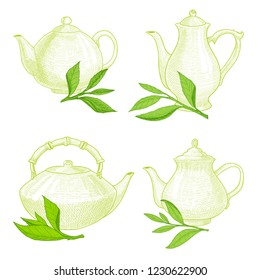 Vector set of teapots and kettle and tea tree leaf. Ink hand drawn vector sketch illustration with tea leaves for label design in retro style. Vector elements isolated on white.