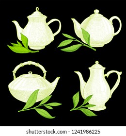 Vector set of teapots and kettle and tea tree leaf. Ink hand drawn vector sketch illustration with tea leaves for label design. 