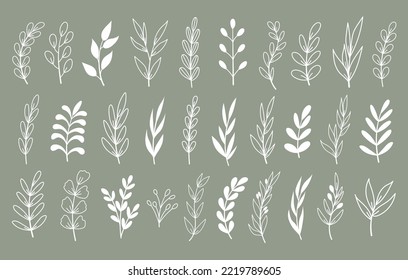 Vector set template for laser Cutting and Plotter. Set of branches with flowers and leaves. Plants for decoration. White objects on a background.