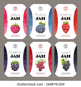 Vector set of templates packaging jam, label, banner, poster, branding. Color abstract background with ornate illustration - raspberry, strawberry, blueberry, currants, blackberry,  cranberry