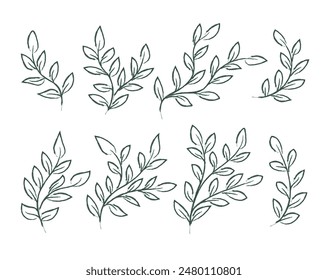 Vector set of textured branches with leaves. Hand drawn grunge plants on white background.