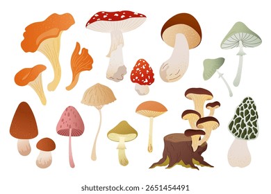 Conjunto vetorial de cogumelos florestais texturizados em cores quentes do outono. Fungos desenhados à mão, toadstools, chanterelles e boleto para o cartão de queda, bandeira, impressão, cartaz, embalagem ou elemento de design sazonal acolhedor