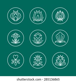 Vector Set of Thin Line Floral Design Elements for Logos
