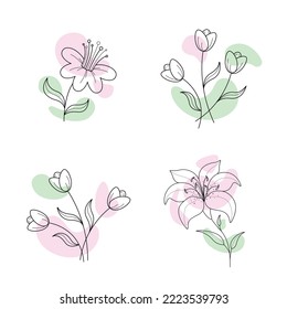 Vector set of thin line illustrations of flowers. Bouquet of tulips, one opened lily and blooming cherry blossom sakura.
