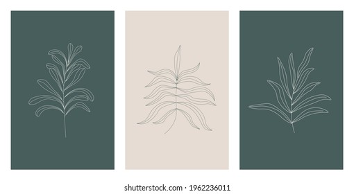Vector set of three botanical wall art posters in green and gray colors. Trendy earth toned line art in minimalist style. Design for print, cover, flyer, invitation, brochure