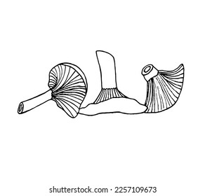 Vector set of three chanterelle mushrooms drawn in the style of doodles.