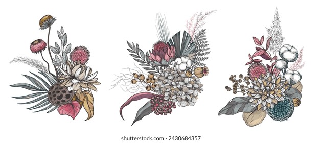 Vector set of three compositions of dried flowers, leaves and branches. Different flowers, palm leaves, eucalyptus and other plants in beautiful bouquets