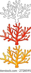 Conjunto de Vector de tres ramas de coral incluye un contorno y dos ilustraciones marinas de colores