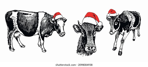 Vector set of three cows in red hats on white background isolated