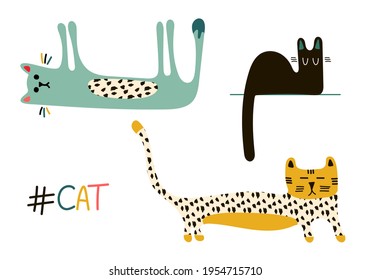 Vector set with three cute colorful cats and the inscription cat in the Scandinavian style, isolated elements on a white background. Children's illustration for posters, books, pajamas, fabrics, toys