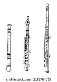 Vector set of three different flutes in black and white