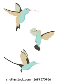 Conjunto vectorial de tres colibríes diferentes. Animales aislados tropicales para el diseño de tejidos o papel