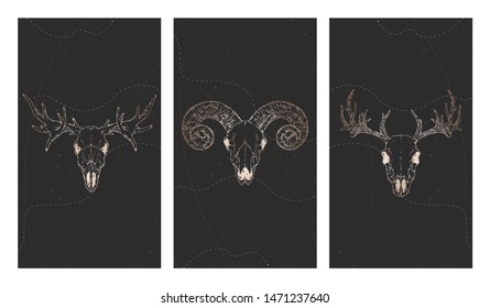 Vector set of three illustrations with gold skulls deer, moose, ram and grunge elements on black background. For you design, print, tattoo or magic craft.