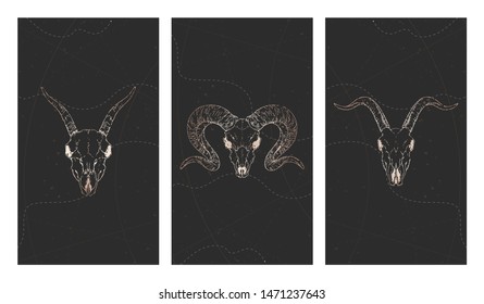 Vector set of three illustrations with gold skulls goats, ram and grunge elements on black background. For you design, print, tattoo or magic craft.