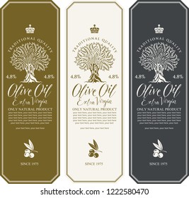 Vector set of three labels for extra virgin olive oil with olive tree, olive sprig, calligraphic handwritten inscription and place for text in figured frame in retro style.
