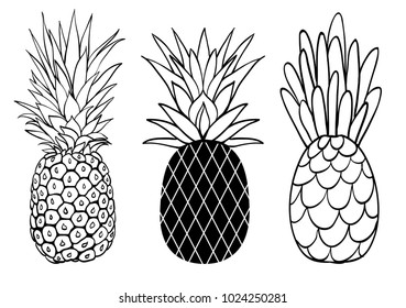 Vector set of three pineapple fruit styles summer tropical object collection. Great for travel, party invitation or packaging.