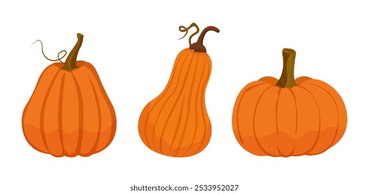 Vector set of three pumpkins of different shapes. Autumn pumpkin symbol for Halloween or Thanksgiving. Flat design. Orange pumpkin silhouette on white background.