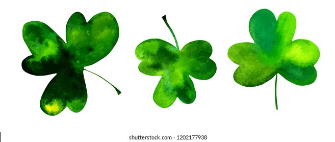 A vector set of three shamrocks, Irish clovers, hand drawn in watercolor and isolated on a white background